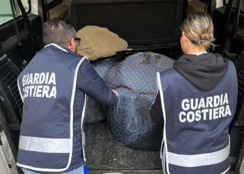 Duemila euro di multe per dei pescatori illegali di “nannata”