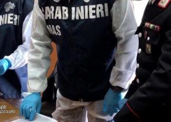 Sicurezza alimentare: una tonnellata di alimenti sotto sequestro a Reggio Calabria