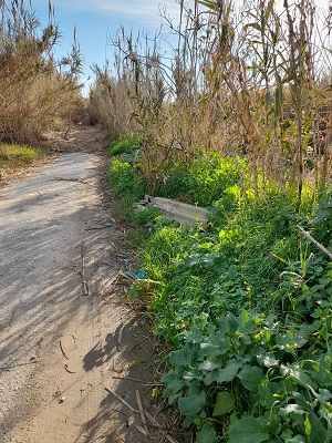 Degrado foto 2 Pista Ciclabile lungo Fosso san Giovanni