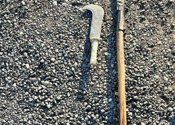 Pizzo, denunciato un uomo trovato in possesso di due roncole