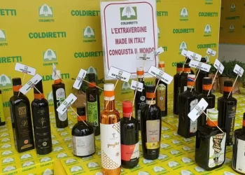 Denuncia di Coldiretti: con una produzione di olio in Calabria di -60%, invasione di prodotto straniero e allarme frodi