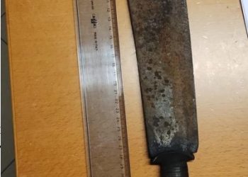 Ancora controlli della Polizia nei comuni del Vibonese