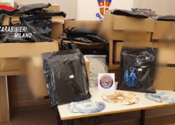 Vasta operazione antidroga tra Lombardia, Sicilia e Calabria (VIDEO)