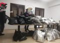 Gioia Tauro, i Carabinieri trovano 80 Kg di marijuana, 15 kg di materiale esplodente e una stanza segreta