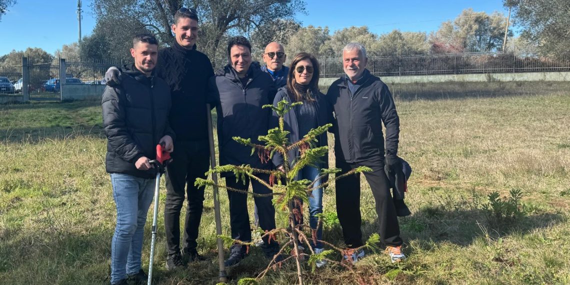 “Dona e adotta un albero”, oltre 30 piantumazioni già effettuate dal Comune di Vibo Valentia e dalle associazioni