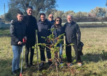 “Dona e adotta un albero”, oltre 30 piantumazioni già effettuate dal Comune di Vibo Valentia e dalle associazioni
