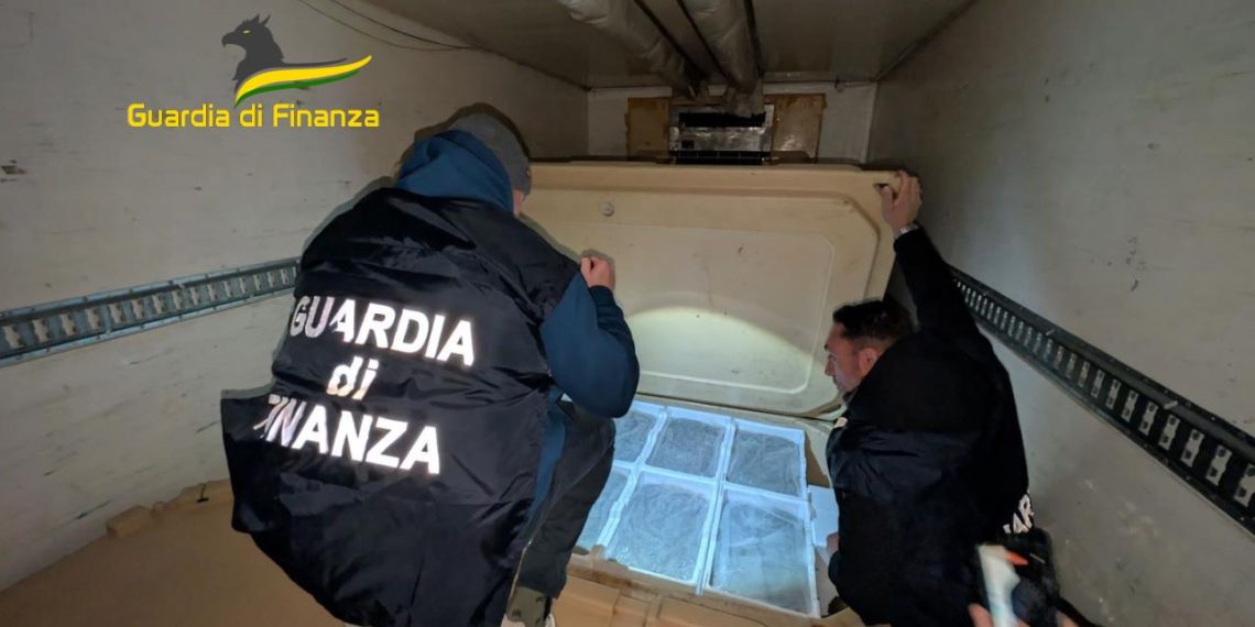 Maxi sequestro di novellame da parte della Guardia di Finanza