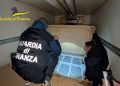 Maxi sequestro di novellame da parte della Guardia di Finanza