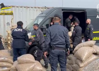 Sequestrati nel porto di Gioia Tauro 1 170 kg di cocaina purissima (VIDEO)