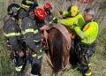Cavallo cade in un dirupo, salvato dai Vigili del Fuoco (VIDEO)