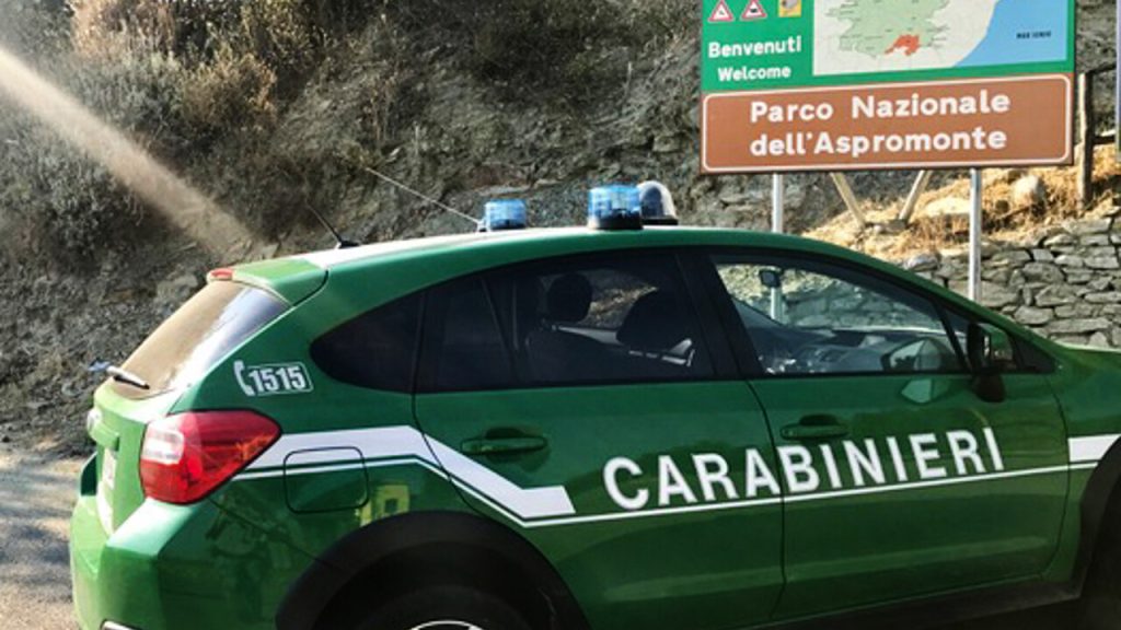 Carabinieri forestali 11