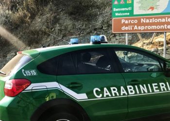 Un’associazione percepiva contributi da due enti pubblici diversi per lo stesso lavoro