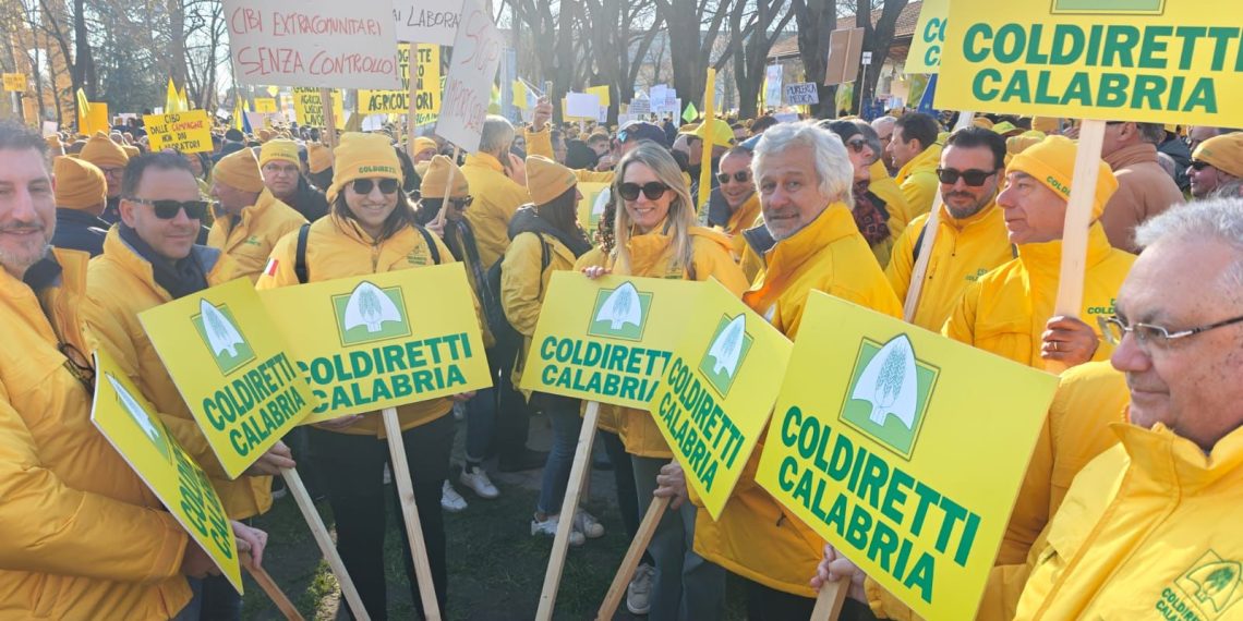 Dazi, Coldiretti e Nfu: stop guerra commerciale appello ai vertici politici di USA ed EU. Sarebbe una vera stangata 1 Dazi, Coldiretti e Nfu: stop guerra commerciale appello ai vertici politici di USA ed EU. Sarebbe una vera stangata