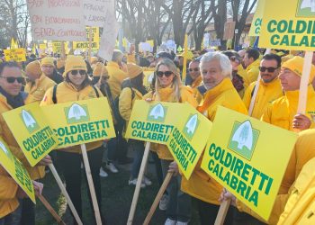 Dazi, Coldiretti e Nfu: stop guerra commerciale appello ai vertici politici di USA ed EU. Sarebbe una vera stangata