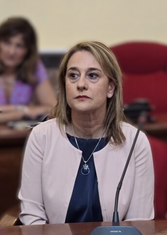 Scuole chiuse per lavori sulla rete elettrica, finalmente il Comune passa all'azione e diffida la società 3 Continanza Vania assessore Vibo