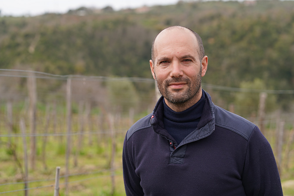 I dazi di Trump minacciano il vino italiano e il comparto vitivinicolo 3 Giovanni Celeste Benvenuto FOTO 1