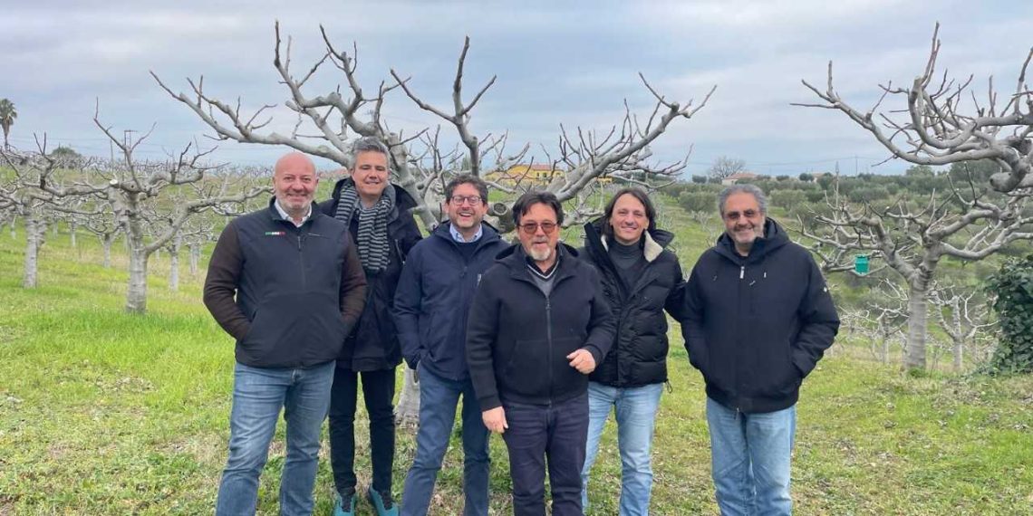 Coldiretti Calabria e Noberasco ancora insieme per promuovere e commercializzare il Fico Dottato Dop di Cosenza 
