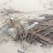 Spiagge come discariche, nuoteremo fra plastica e polistirolo 8 Spiagge come discariche, nuoteremo fra plastica e polistirolo