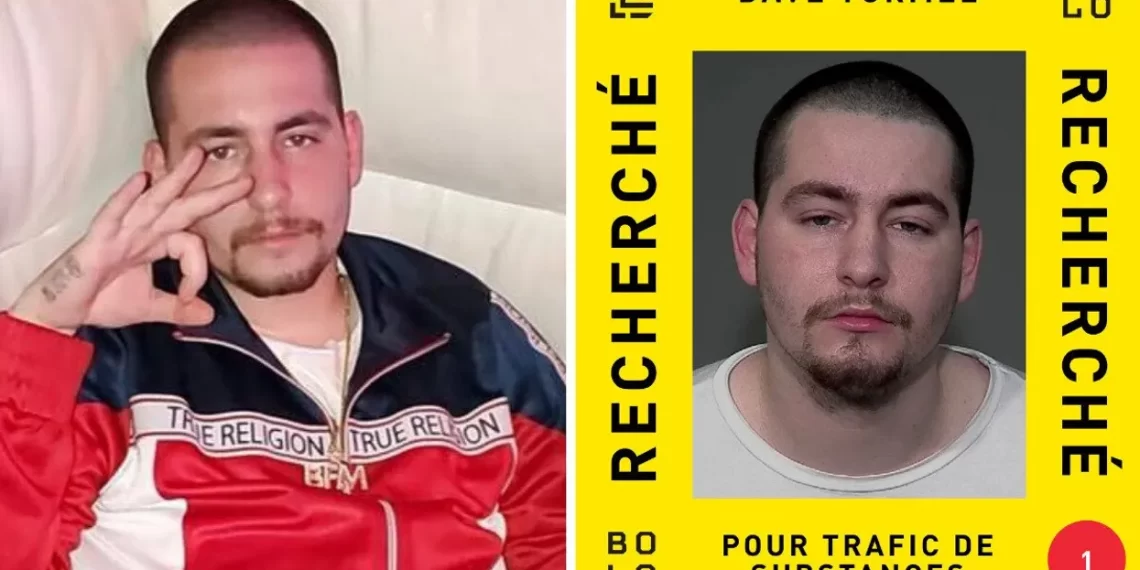 Un pericoloso boss della mafia canadese, arrestato a Roma dove doveva incontrare i narcos romani legati alla ‘ndrangheta