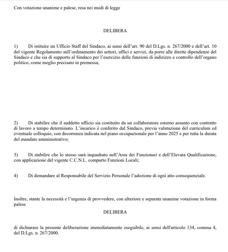 Vibo Valentia, ecco perché non serviva più il superconsulente... è nato lo Staff del Sindaco (e sarà una sola persona) 4 delibera staff 1 1