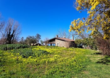 Quando l'Agricoltura diventa anche terapia riabilitativa sociale. A Vibo Valentia è possibile con La Goccia 3 Quando l’Agricoltura diventa anche terapia riabilitativa sociale. A Vibo Valentia è possibile con La Goccia