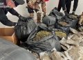 Un ingente quantitativo di droga è stato trovato dai Carabinieri a Grotteria (VIDEO)