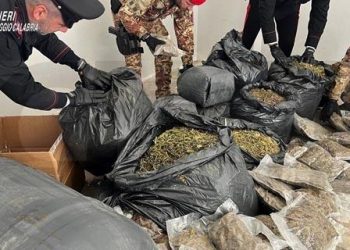 Un ingente quantitativo di droga è stato trovato dai Carabinieri a Grotteria (VIDEO)