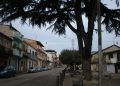 San Gregorio d'Ippona sul tetto del mondo: Sport, Arte e Cultura al femminile fanno grande il piccolo borgo vibonese 2 Una via di San Gregorio d’Ippona sarà intitolata a don Michele Luccisano