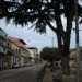 San Gregorio d'Ippona sul tetto del mondo: Sport, Arte e Cultura al femminile fanno grande il piccolo borgo vibonese 11 Una via di San Gregorio d’Ippona sarà intitolata a don Michele Luccisano