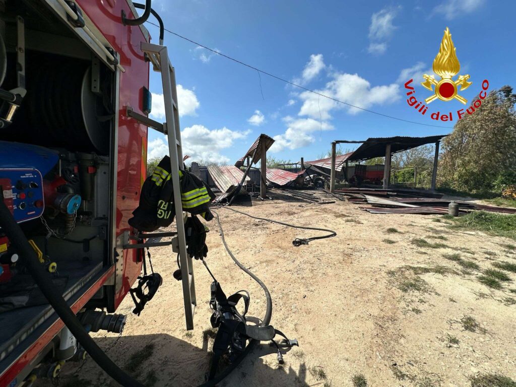 Zungri, incendio distrugge un capannone agricolo 3 3wtmk 3