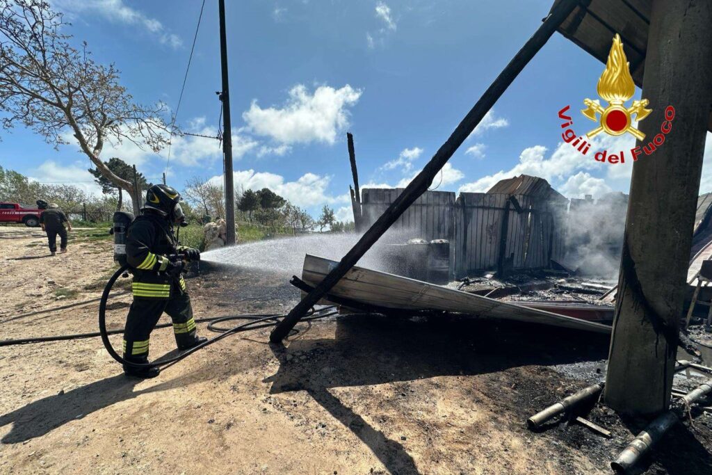 Zungri, incendio distrugge un capannone agricolo 4 4wtmk 1