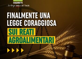 Made in Italy: Coldiretti Calabria soddisfatta per il via libera alla legge Caselli per reati agroalimentari