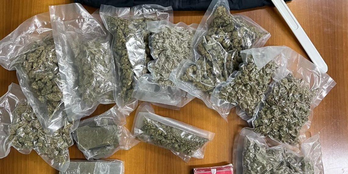 Due giovani di Serra San Bruno arrestati dalla Polizia mentre tentavano di disfarsi della droga