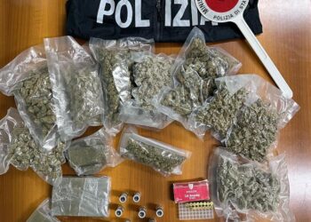 Due giovani di Serra San Bruno arrestati dalla Polizia mentre tentavano di disfarsi della droga