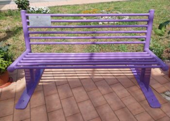 L’IIS ITG ITI e ITE di Vibo Valentia e il Kiwanis Club di Vibo Valentia hanno inaugurato la panchina lilla