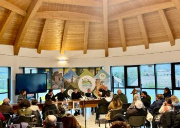 Energia verde, ma non così: il territorio dice basta all’assalto eolico che cancella il futuro 3 Energia verde, ma non così: il territorio dice basta all’assalto eolico che cancella il futuro