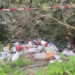 Nel Crotonese i Carabinieri sequestrano diverse discariche abusive (VIDEO)