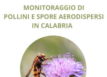 ARPACAL: monitoraggio pollinico 2024 in Calabria, cresce la prevalenza da spore fungine e urticacee