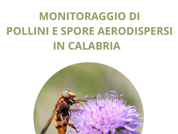 ARPACAL: monitoraggio pollinico 2024 in Calabria, cresce la prevalenza da spore fungine e urticacee