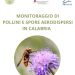 ARPACAL: monitoraggio pollinico 2024 in Calabria, cresce la prevalenza da spore fungine e urticacee 8 ARPACAL: monitoraggio pollinico 2024 in Calabria, cresce la prevalenza da spore fungine e urticacee