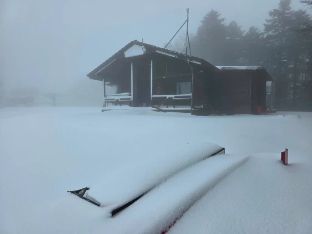 neve aspromonte 29 marzo 2025 6 1200x900.jpg