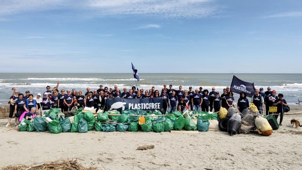 plastic free 2025