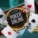 Giocatore di Poker on line denunciato per evasione fiscale 8 Giocatore di Poker on line denunciato per evasione fiscale