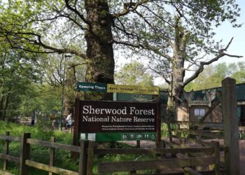 Sulle orme di Robin Hood nella foresta di Sherwood