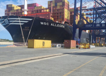 Il porto di Gioia Tauro rafforza il suo ruolo strategico con un nuovo record di movimentazioni