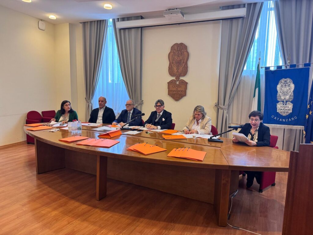 Camera di Commercio Catanzaro Crotone Vibo Valentia, approvato all’unanimità il bilancio di esercizio 2024 4 Consiglio CCIAA CZKRVV 28.05.25 1