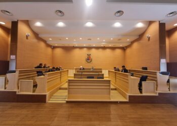 Provincia di Vibo Valentia, il Consiglio approva il riconoscimento dei debiti fuori bilancio