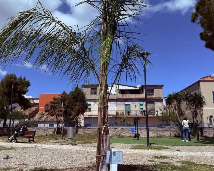 Iniziativa dei giovani dei Leo Club calabresi che hanno proceduto alla piantumazione di un albero