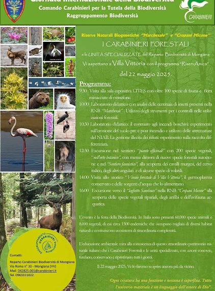 A Villa Vittoria a Mongiana, la settima edizione di “RiservAmica”