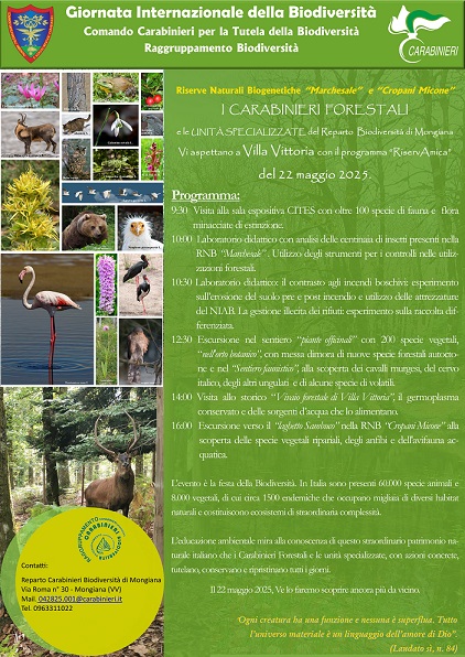Locandina Riserva AMICA 22 MAGGIO 2025 11